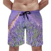 Shorts pour hommes Champs de lavande Board Summer Nature Fleurs violettes Courir Plage Mâle Séchage rapide Casual Maillot de bain surdimensionné