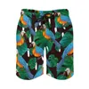 Men's Shorts Tropical Birds Board Daily Men Beach Pants Palm Leaves Print Plus Size Classic
