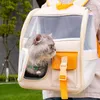 Bolsa de produto para transportadores de gatos, bolsa de ombro de alto valor, cor de sucesso, mochila pequena para passeio de animais de estimação, suprimentos respiráveis