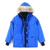 Canada Goode Jacket Vestes parkas en duvet pour hommes Vêtements de travail d'hiver Veste de plein air Mode Maintien au chaud Couple Diffusion en direct Canadian4325657813971