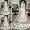 Fashion Chapel Length Tulle Bride Wedding Veils with Comb Applique Decoration Long Bridal Veil Hair Accessories230h