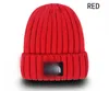 Beanie Unisex Knitted Hat Gorros Bonnet Knit Hats Classical Sports Skull Caps Men Women Casual Outdoor Beanies B3