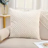 Housse de coussin en peluche pour canapé, Style nordique, housse à la mode et minimaliste, décoration de salon, de maison, 45x4 5/30x50cm