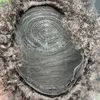 Malaisien péruvien indien brésilien couleur naturelle noir 100% brut vierge Remy cheveux humains crépus bouclés coupe de lutin perruque courte régulière