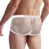 Unterhosen Sexy Gay Herren Niedrige Taille Slips Fischnetz Beutel Boxer Kurze Durchsichtige Atmungsaktive Männliche Shorts Und