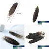 Hantverksverktyg Holesale 10 Rare Natural Eagle Feathers 40-45 cm/16-18 Dekoration Firande Performance Accessories Inches Jewelry Diy S Dhatm