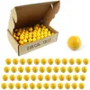 Fitness Balls Paintballs 068 Caliber 120 Pieces Solid 68cal Breaker Hard Nylon Ball for Recycling Shooting Training Practice 230904