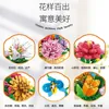 Blocs série de fleurs créatives en pot plantes succulentes lys œillet fleur panier blocs de construction jouets cadeaux R230905