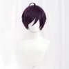 Cosplay Perruques Mode Courte Cosplay Perruque Multi Couleurs Droite Peluca Synthétique Anime Cheveux Cosplay Résistant À La Chaleur Parti Perruques 230904