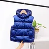 Down Coat Girls Boys Baby's Kids Down Vest Waistcoat 2023 Cute Warm Thicken Winter Autumn Outdoor Jacket Cardigan Children's Clothes R230905