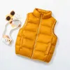 Down Coat Boys Girls Autumn Winter Down Vest Coat Children Warm Waistcoat Outerwear Kids Puffy Liner Child Clothing Infant Fluffy Jackets R230905