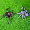 Andra evenemangsfestleveranser Halloween Spider Realistic Decorative Party Spider Artificial Spider Funny Tojoke Toy for Bar Party Halloween Decorations 230905