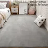 Dywany nordycki dywan do salonu niski poziom dywaników dla dzieci puszyste okno podłogowe przy łóżku wystrój domu koralowy polar 230905