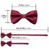 Bolo Ties Mariage Noeud Papillon pour Hommes Classique Rouge Noeud Papillon Boutons De Manchette Corsage Ensemble pour Fête Soie Papillon Noeud Cadeau Homme Accessoires 230904