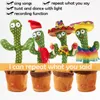 Decorative Objects Figurines Dancing Cactus Repeat Talking Toy Electronic Plush Toys Can Sing Record Lighten Battery USB Charging Early Funny Gift 230905