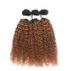 합성 가발 1B 30 Bundel Coklat Ombre Dengan 13x4 Soku Brasil Rambut Manusia Keriting Penutup 3 4 Buah Remy 230905