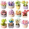 Bloques 100+pcs Suculentas Bloques de construcción Creatividad Flores inmortales Flores Decoración de plantas Juguetes DIY para niñas Regalos de cumpleaños R230905