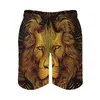 Shorts pour hommes Lion Gym Summer Lines Portraits Classic Board Pantalons courts Running Surf Séchage rapide Maillots de plage imprimés