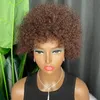 Malaisien péruvien indien brésilien brun couleur 100% brut Remy vierge Remy cheveux humains crépus bouclés coupe de lutin perruque courte régulière