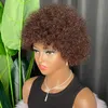 Malaisien péruvien indien brésilien brun couleur 100% brut Remy vierge Remy cheveux humains crépus bouclés coupe de lutin perruque courte régulière