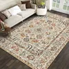 Carpets Luxury Rugs and for Home Living Room Bohemian Carpet Bedroom Bedside Large Area Decoration Entrance Door Mat 230905