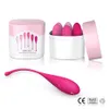 Eggs Bullets 6-teiliges Kegel-Kugel-Set, Vaginalmuskel-Straffungstrainer für Frauen, Blasenkontrolle, 18 Sex-Produkte, Chinesisch, 230904