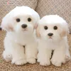 Plush Dolls Boneka Anjing Maltese Mawah Mewah Hewan Peliharaan Simulasi Lucu Berbulu Hadiah Ulang Tahun Bayi Natal Anak Malebe Drop 230905