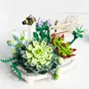 Blocks New Pot Plants Blocks City Sakura Succulents Cherry Blossom House Tree Model Building Blocks Toys for Children Gifts R230905