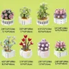 Block Succulent Flower Plant Potted Building Blommor