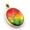 Collana con ciondolo in argento con ammolite di fuoco Gioielli in pietra naturale per donna e uomo