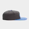 Hoge kwaliteit klassieke mode hiphop man vrouw snapbacks 100% polyester grijs koningsblauw wit CS CL CARRY ON CAP259Z