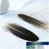 Hantverksverktyg Holesale 10 Rare Natural Eagle Feathers 40-45 cm/16-18 Dekoration Firande Performance Accessories Inches Jewelry Diy S Dhatm