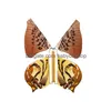 Accessoires magiques Papillon volant Changement avec les mains vides Dom Tricks C3905 Livraison directe Jouets Cadeaux Puzzles Dhpvx