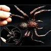 Andra evenemangsfestleveranser Halloween Spider Realistic Decorative Party Spider Artificial Spider Funny Tojoke Toy for Bar Party Halloween Decorations 230905