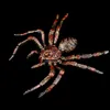 Andra evenemangsfestleveranser Halloween Spider Realistic Decorative Party Spider Artificial Spider Funny Tojoke Toy for Bar Party Halloween Decorations 230905