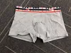 2024 Mens Designer Boxer Under Shorts Sexy Classic Breathable Cotton  Underwear With Box From Qwaszxo, $3.25