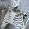 Other Event Party Supplies 90cm Halloween Horror Anatomy Movable Skull Skeleton Halloween Props Poseable Full Life Size Skeleton Prop Halloween Decoration 230905