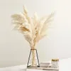 Pampas gräsdekor vit färg fluffiga naturliga torkade blommor blekt bukett boho vintage stil för bröllop hem juldekor238q