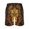 Shorts pour hommes Lion Gym Summer Lines Portraits Classic Board Pantalons courts Running Surf Séchage rapide Maillots de plage imprimés