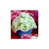 Cupcake Sile Muffin Cake Cup Mod Case Bakearware Maker Morn