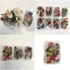 Dekorative Blumen Kränze Getrocknete Blumen 1 Box Miticolor Konservierte Zufällige Farbe Mticolor Für Sammelalben Drop Lieferung Hausgarten Fe Dhrwh