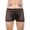 Cuecas masculinas malha listrada sheer conforto shorts u bolsa boxer briefs masculino roupa interior calcinha transparente sono bottoms troncos de banho