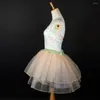 Stage Wear Princess Dance Tutu Robe Ballet Broderie Ruban Performance