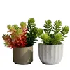 Decoratieve Bloemen Gesimuleerde Vetplanten Bonsai Doornenkroon Euphorbia Zonder Bloempot Natuurlijke Kunstbloem Wilg