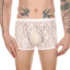 Caleçons Boxershorts sexy hommes shorts transparents U boxer convexe slips pochette en maille transparente culotte de sous-vêtements Lingerie Ropa intérieur Hombre