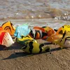 Action Figures Giocattolo Oenux Animali Solidi Action Figures Oceano Selvaggio Insetti Modello Set Dinosauro Farfalla Pesce Uccello Tartaruga Rana Lucertola Figurine Giocattolo per bambini 230905