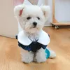 Dog Apparel Spring Autumn Pet Clothes Strawberry Print Princess Dresses For Small Medium Puppy Clothing Skirts Coat Yorkshire