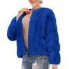 Frauen Pelz 2023 Herbst Winter Faux Mantel Frauen Flauschigen Top Oansatz Solide Elegante Dame Kleidung Pelzigen Kurze Jacke