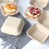 Ta ut containrar Lunchlåda/Pad Bakery Cake Hamburger Mat Fruit Prep Container Disponibla Bento Packaging 20/40/50pc måltid