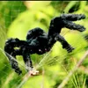 Other Event Party Supplies 1Pcs 30cm 50cm 75cmSuper big plush spider made of wire and plush black and multicolour style for party or halloween decorations 230906